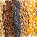 Food-Grains-import-to-australia