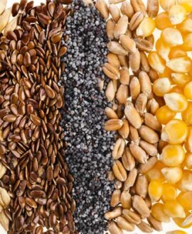 Food-Grains-import-to-australia
