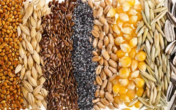Food-Grains-import-to-australia