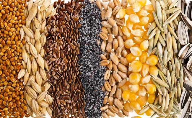 Food-Grains-import-to-australia